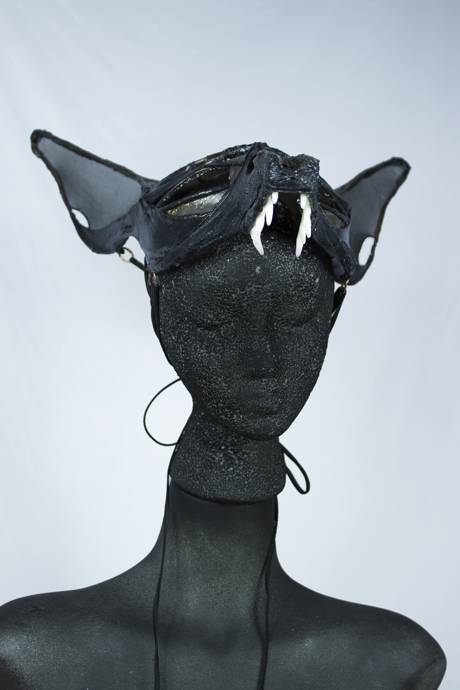 Anubis5.jpg