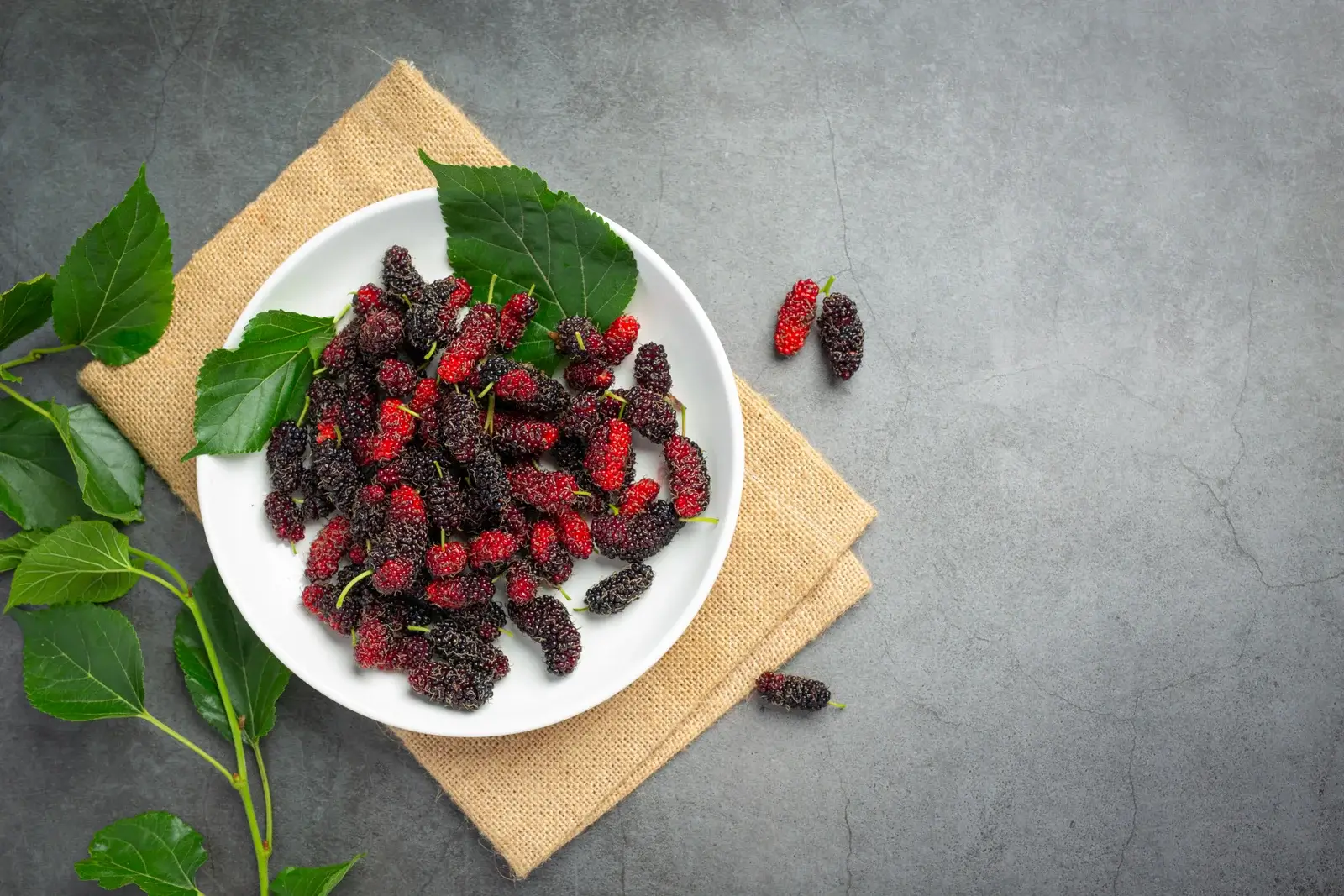 Mulberry Benefits: The Natural Elixir for Radiant Skin Mulberry Benefits: The Natural Elixir for Radiant Skin